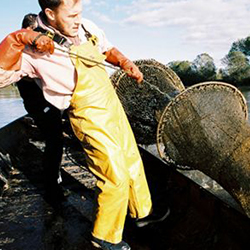 Le métier de pêcheur