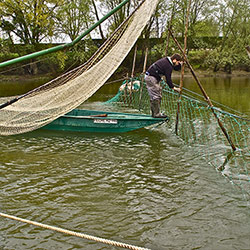 Le métier de pêcheur