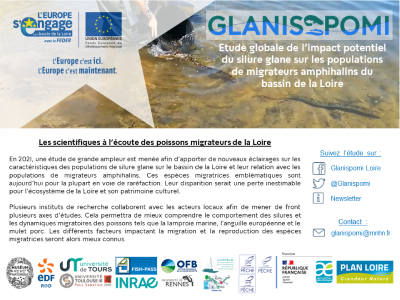 FLYER GLANISPOMI © MNHN