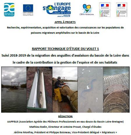 Suivi 2018-2019 de la migration des anguilles d’avalaison du bassin de la Loire