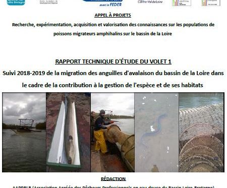 Suivi 2018-2019 de la migration des anguilles d’avalaison du bassin de la Loire