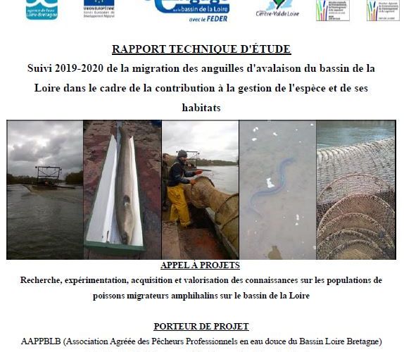 Suivi 2019-2020 de la migration des anguilles d’avalaison du bassin de la Loire