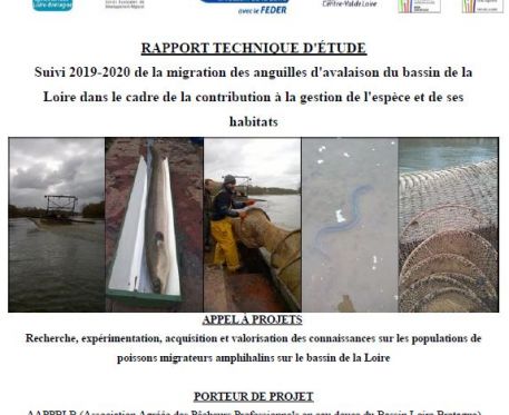 Suivi 2019-2020 de la migration des anguilles d’avalaison du bassin de la Loire