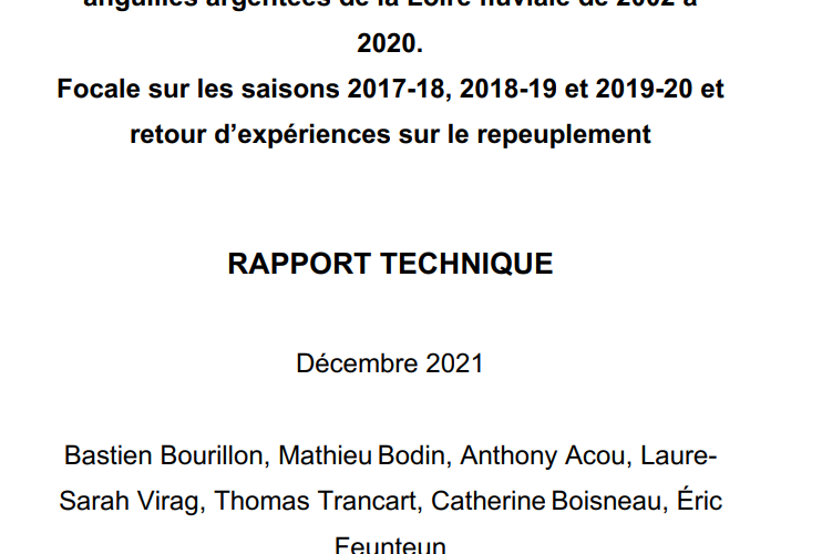 Suivi et estimation des flux d’échappement des anguilles argentées de la Loire fluviale de 2002 à 2020