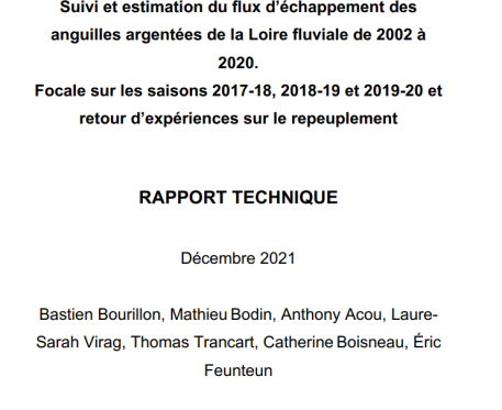 Suivi et estimation des flux d’échappement des anguilles argentées de la Loire fluviale de 2002 à 2020