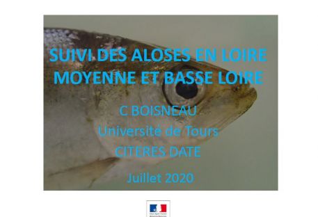 ALOSA 2018-2019 Université de Tours