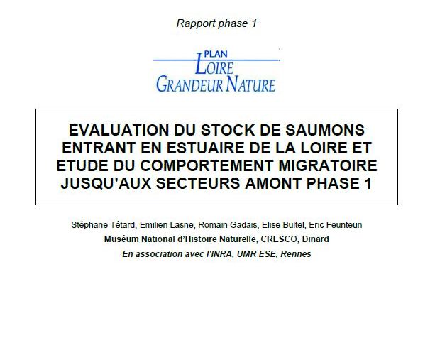 Évaluation du stock de Saumons entrant en estuaire de la Loire et étude du comportement migratoire jusqu’aux secteurs amont - phase 1