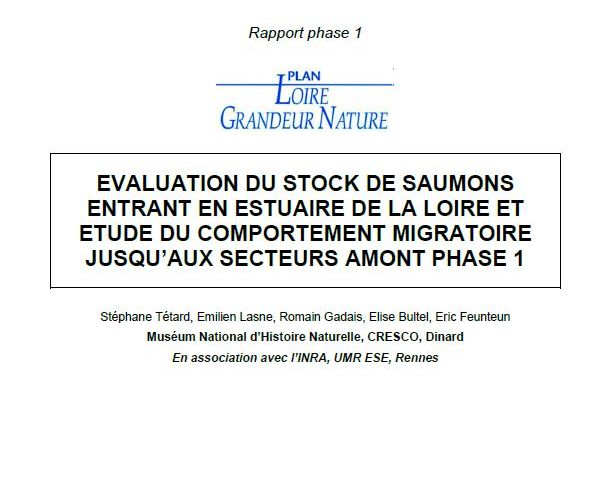 Évaluation du stock de Saumons entrant en estuaire de la Loire et étude du comportement migratoire jusqu’aux secteurs amont - phase 1