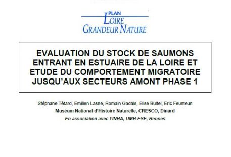 Évaluation du stock de Saumons entrant en estuaire de la Loire et étude du comportement migratoire jusqu’aux secteurs amont - phase 1