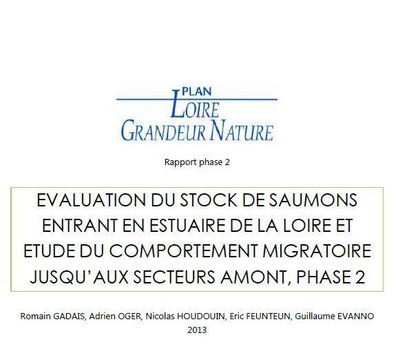 Évaluation du stock de Saumons entrant en estuaire de la Loire et étude du comportement migratoire jusqu’aux secteurs amont - phase 2