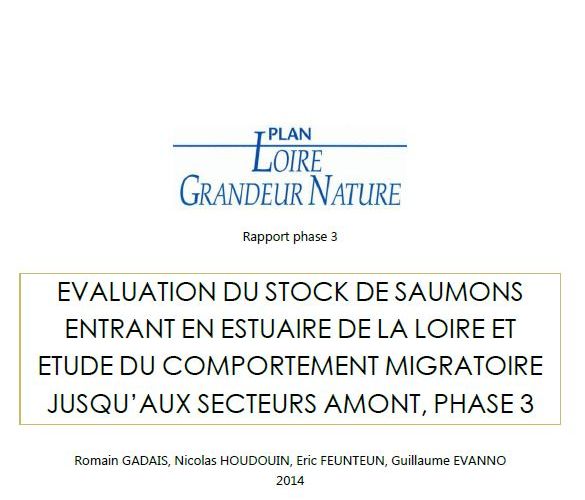 Évaluation du stock de Saumons entrant en estuaire de la Loire et étude du comportement migratoire jusqu’aux secteurs amont - phase 3