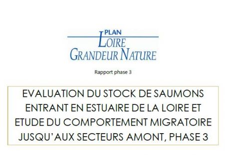 Évaluation du stock de Saumons entrant en estuaire de la Loire et étude du comportement migratoire jusqu’aux secteurs amont - phase 3