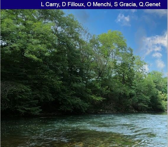 Suivi de la lamproie marine sur le bassin de la Dordogne et de la Garonne