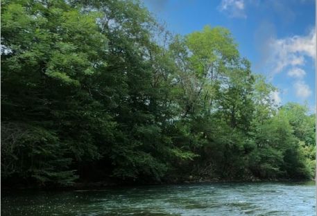 Suivi de la lamproie marine sur le bassin de la Dordogne et de la Garonne