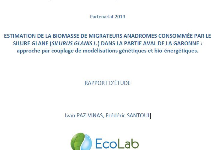 Estimation de la biomasse de migrateurs anadromes consommée par le silure glane (silurus glanis) dans la partie aval de la Garonne : approche par couplage de modélisations génétiques et bio-énergétiques.