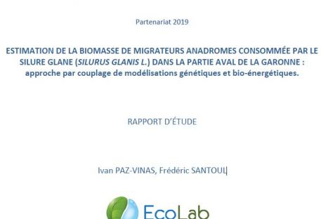 Estimation de la biomasse de migrateurs anadromes consommée par le silure glane (silurus glanis) dans la partie aval de la Garonne : approche par couplage de modélisations génétiques et bio-énergétiques.