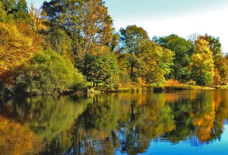 Suivi de la lamproie marine sur le bassin de la Dordogne et de la Garonne